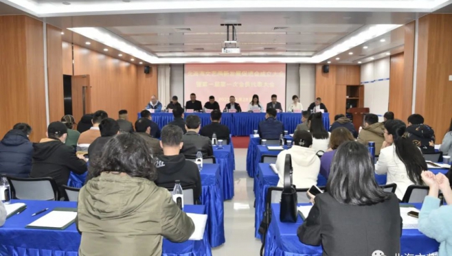 广西地市首个！北海市文艺两新发展促进会成立